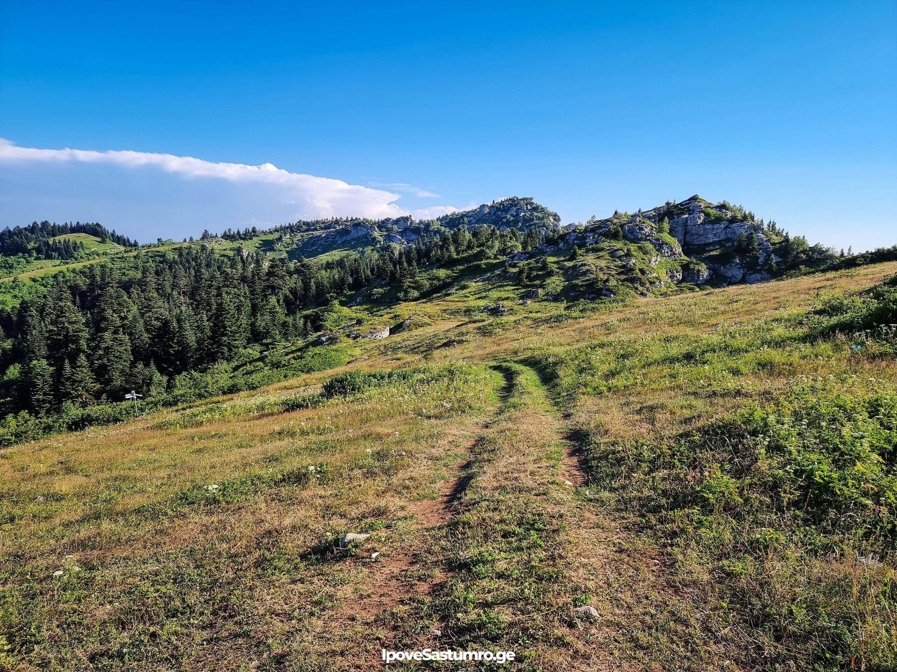 ბილიკი ხვამლის მთაზე - Path on Khvamli mountain